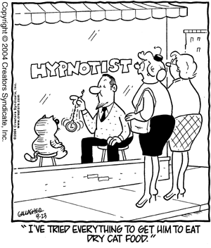 heathcliff